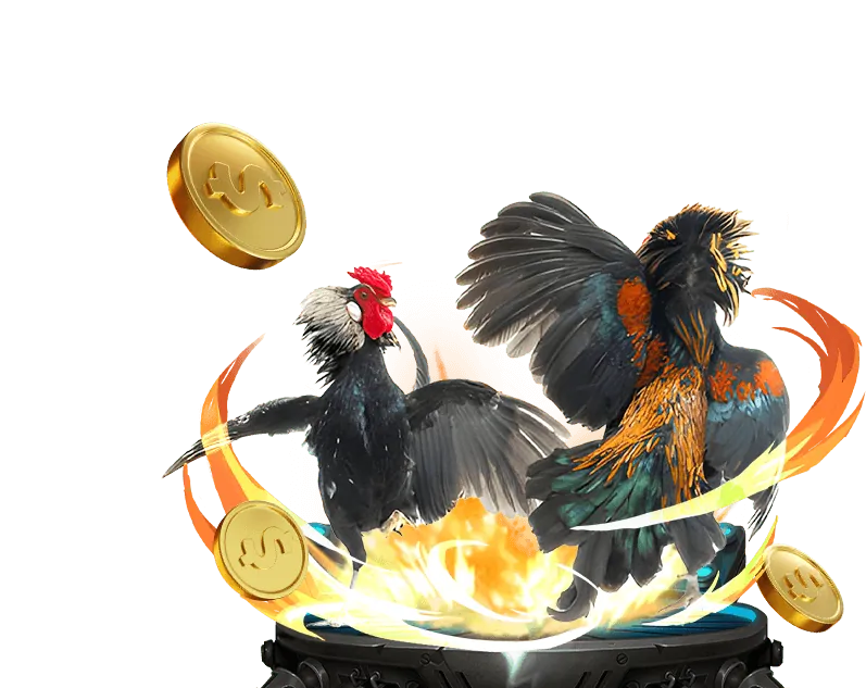 Game Bài tại BK8 App