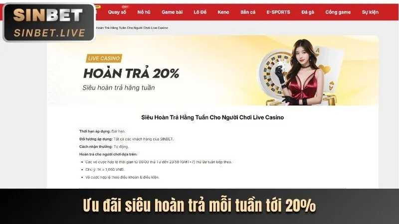 Giao diện cá cược thể thao trên ứng dụng SHBET APK